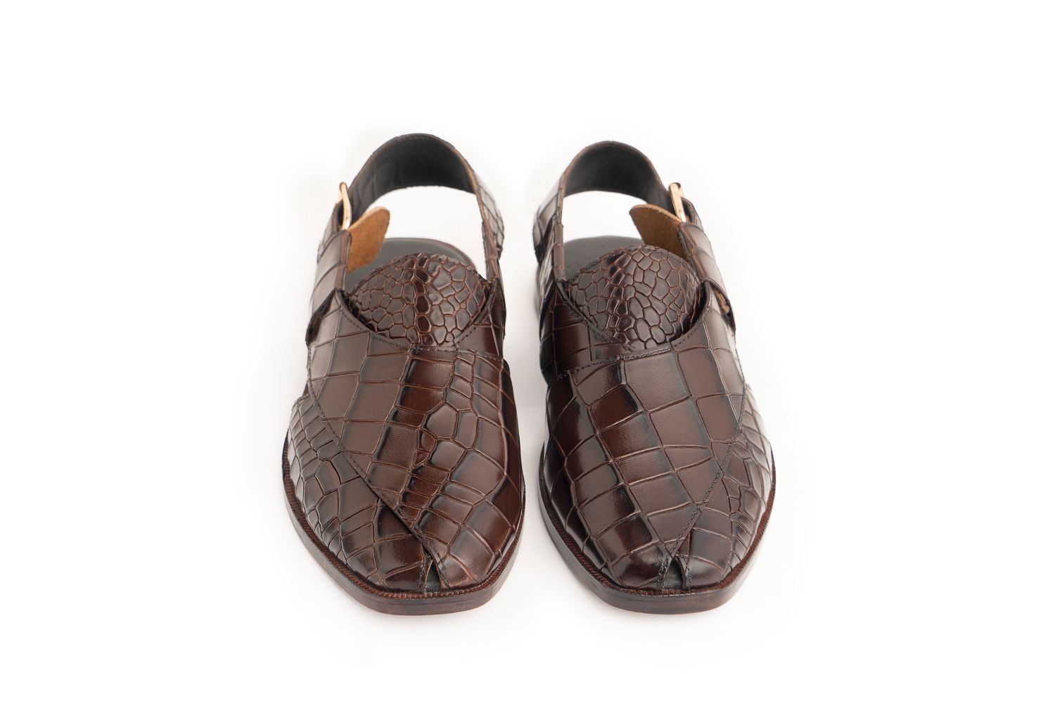 Pakhtoon Alligator - Brown